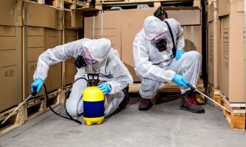 commercial pest control in Chittorgarh