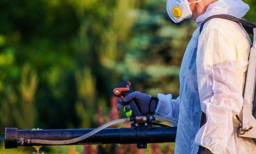 eco friendly pest control